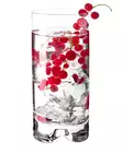 Highball Glass Mixology 330ml (6pcs) Krosno - Drink Glasses & Cocktail Glasses - KR30802 - 1
