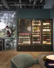Wine cabinet Mia FIT Slim 13 - Single Temperature Cabinets - EFMIAFITSL - 2